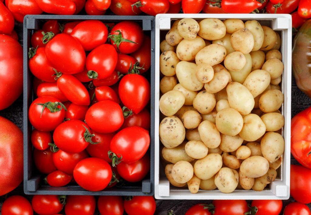 Como uma façanha evolutiva nos deu as batatas — e por que elas não existiriam sem os tomates - Noticiário 24H