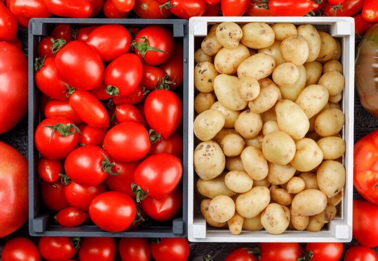 Como uma façanha evolutiva nos deu as batatas — e por que elas não existiriam sem os tomates - Noticiário 24H