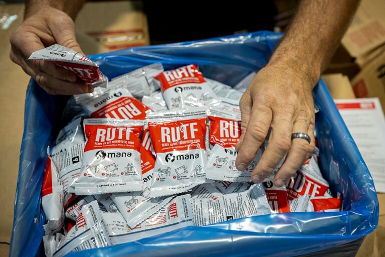 Alimentos terapêuticos podem evitar desnutrição em Gaza, mas não chegam ao destino - Noticiário 24H