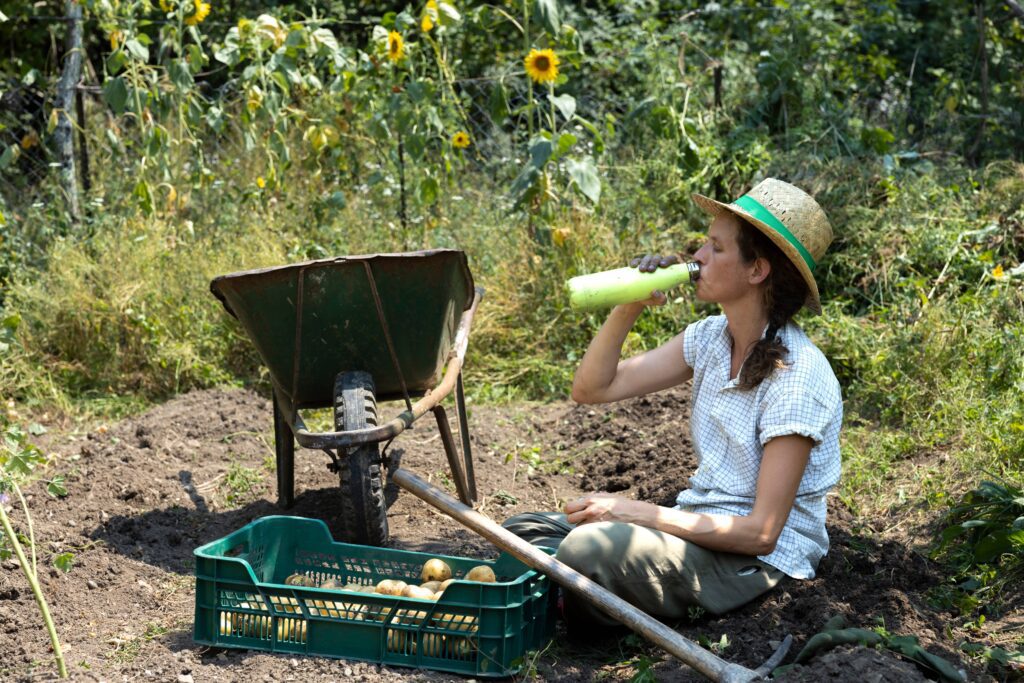 Trabalho sob altas temperaturas provoca 19 mil mortes por ano, segundo a ONU - Noticiário 24H