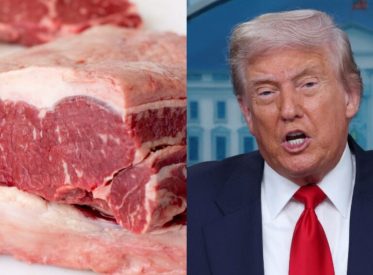 Por que grandes frigoríficos brasileiros não deverão sentir tanto o tarifaço dos EUA - Noticiário 24H