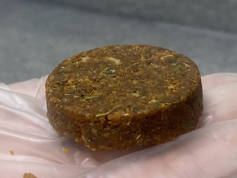 Pesquisadores criam 'carne' vegana com farinha de girassol: rica em proteína, ferro e sustentável - Noticiário 24H