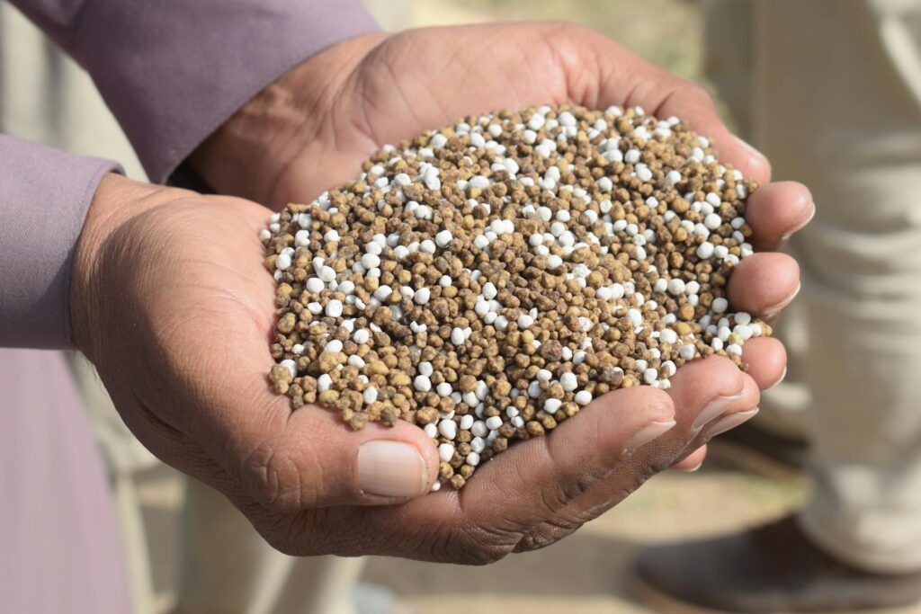 Dependência de fertilizantes russos deixa Brasil vulnerável a mais taxações dos EUA - Noticiário 24H